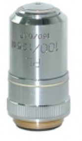 Objetivo plano acromático 100X