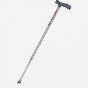 Bastón en "T" color plata