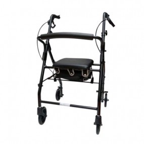 Andadera Rollator de aluminio AJ-N1025BK color negro