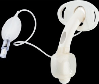 Canula traqueal shiley fenestrada 6.4mm