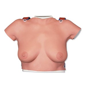 Modelo para la palpación de mama para colgar