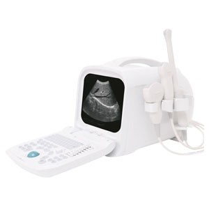 Equipo para ultrasonido digital haiying basic portátil