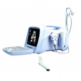 Ultrasonido con 2 transductores convexo / endocavitario