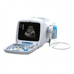 Ultrasonido con 1 transductor convexo