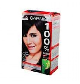 GARNIER 100CLR TI CASTVIOL 316